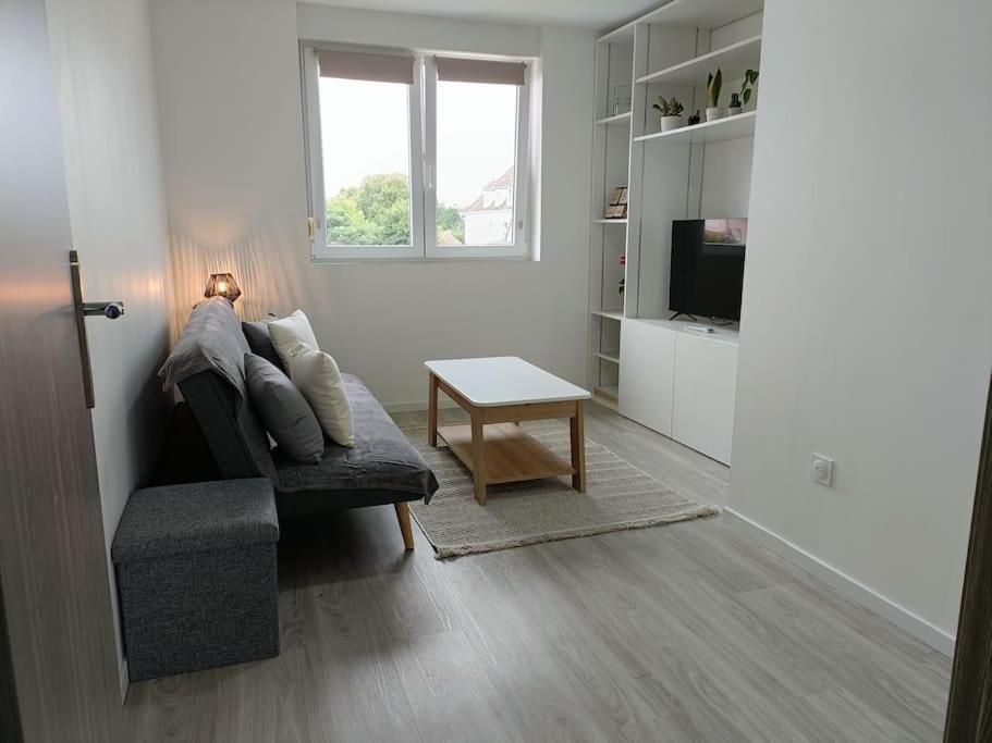 Appartement Entier F3 Renove - Petite Pause A Selestat Ngoại thất bức ảnh