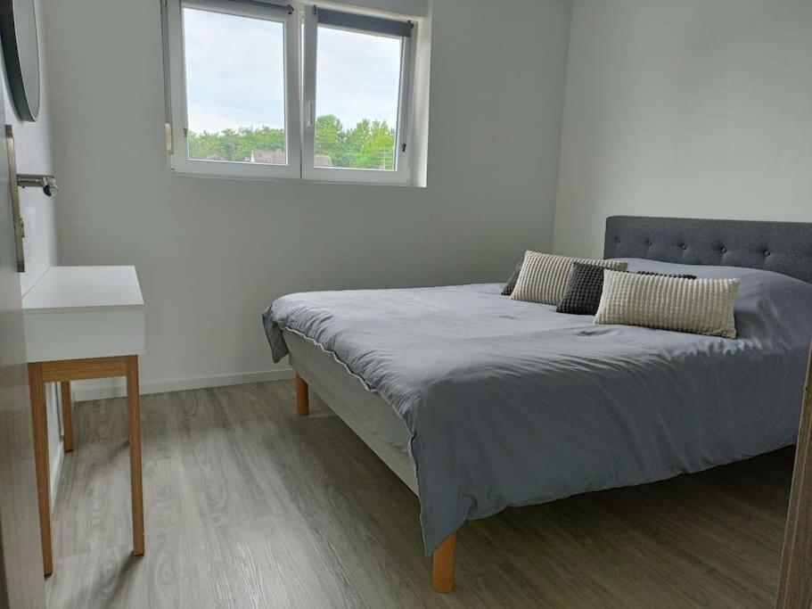 Appartement Entier F3 Renove - Petite Pause A Selestat Ngoại thất bức ảnh