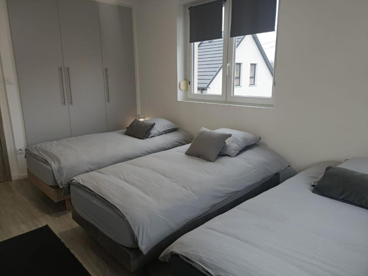 Appartement Entier F3 Renove - Petite Pause A Selestat Ngoại thất bức ảnh