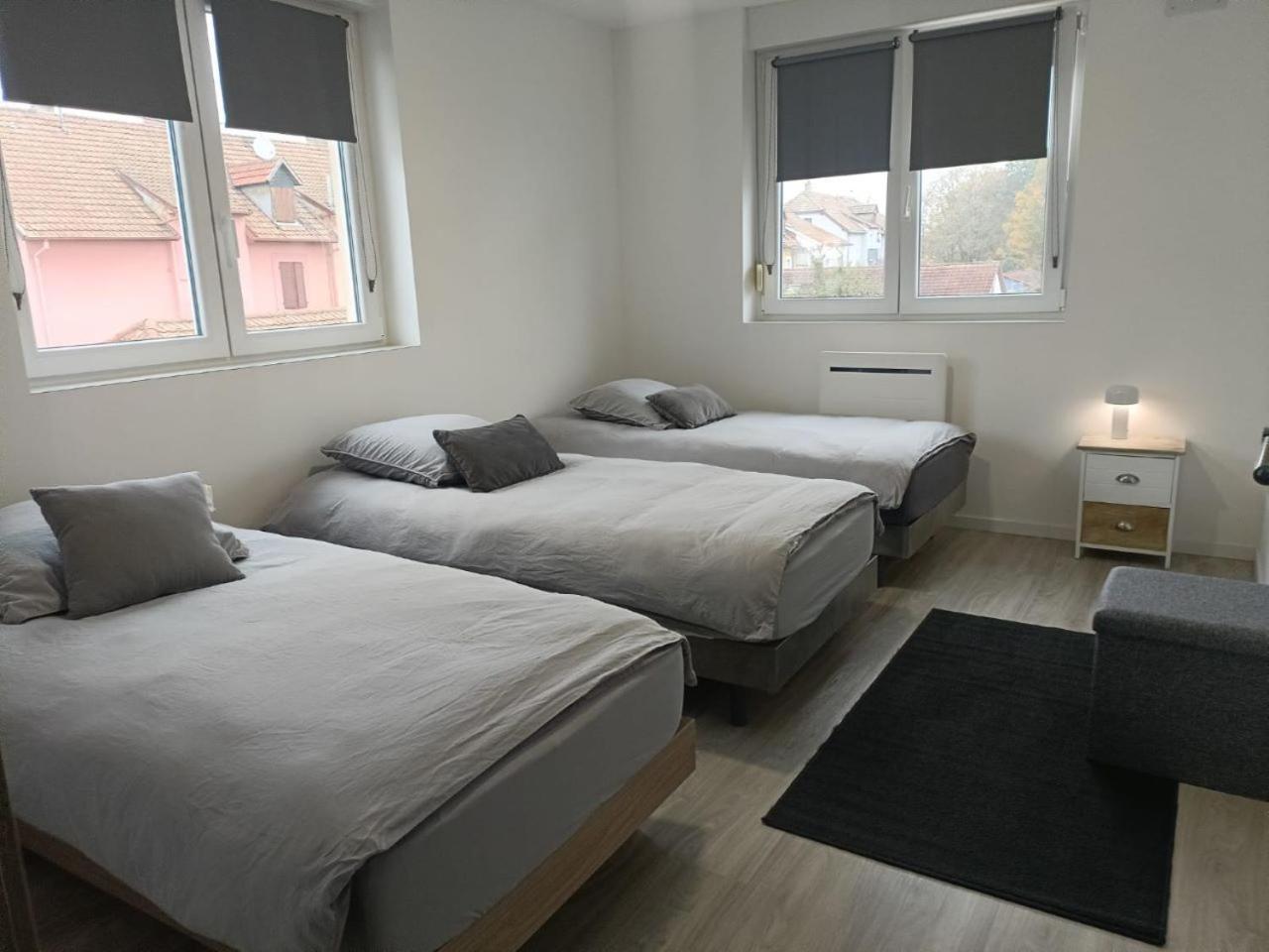 Appartement Entier F3 Renove - Petite Pause A Selestat Ngoại thất bức ảnh